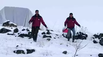 Çemişgezek'teki Veteriner Hekimler Kış Koşullarında Hayvan Sağlığı İçin Mücadele Ediyor