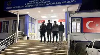 Hatay'da Dört Düzensiz Göçmen Yakalandı, Bir Kişi Tutuklandı