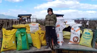 Sarıgöl'de Sultaniye Üzüm Bağlarına Kışlık Gübreleme Başladı