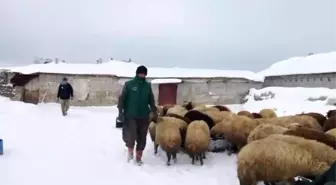 Bitlis'te Sibirya Soğukları Besicileri Zorluyor