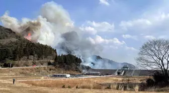 Japonya'da Orman Yangını: 2 Bin 114 Kişiye Tahliye Uyarısı