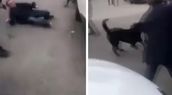 Bağcılar'da yasaklı pitbull saldırısı: O anlar kameralarda