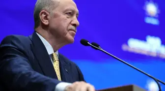 Cumhurbaşkanı Erdoğan'a iki yeni başdanışman