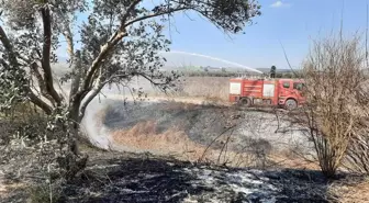 Erzin'de Sazlık Alanda Yangın Şansı ile Kontrol Altına Alındı