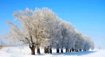 Meteorolojiden Erzurum için Buzlanma ve Don Uyarısı