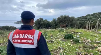 Dilek Yarımadası Milli Parkı'nda Çevre Koruma Denetimi