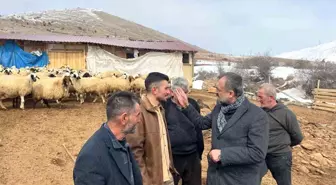 Malatya'da Depremzedelere Hayvan Yetiştiriciliği İçin Faizsiz Kredi Desteği