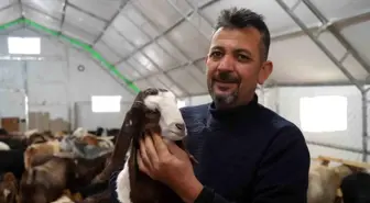 Emekli Memur Kırıkkale'de Hayvancılığa Geçiş Yaptı