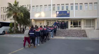 Mersin'de Dolandırıcılık Şebekesi Çökertildi