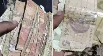Komşuda kullanılan Türk parasının geldiği hale bakın