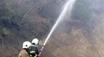 Hatay'da Ormanlık Alanda Yangın Kontrol Altına Alındı