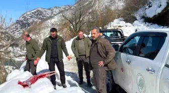 Artvin'de Kaçak Avcılara Suçüstü: 41 Bin TL Cezalı Operasyon