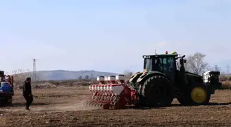 Adana'da Çiftçiler Kuraklığa Rağmen Mısır Ekimine Yöneldi