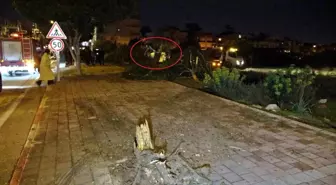 Antalya'da Polis Memuru Kaza Geçirdi: Ağır Yaralı