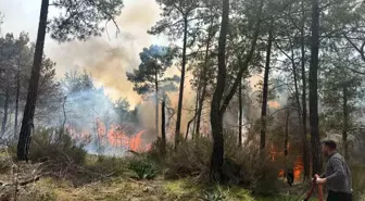 Antalya Kemer'de Orman Yangını Çıktı