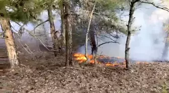 Osmaniye'de Orman Yangını Zamanında Söndürüldü