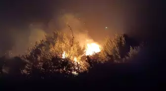 Hatay'da Zeytinlikte Çıkan Yangın Kontrol Altına Alındı