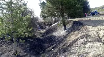 Bolu'da Kuru Ot Yangını Ağaçlara Sıçradı, Çabuk Söndürüldü