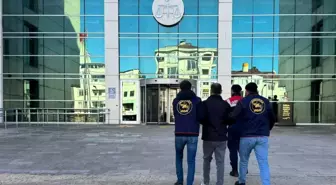 Ordu'da Jandarma Ekiplerinden Büyük Operasyon: 32 Bin Kişi Sorgulandı