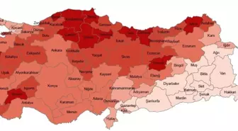 TÜİK'ten Açıklama: Eskişehir'de Yaşlı Nüfus Oranı Artıyor