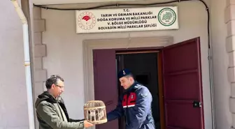 Afyonkarahisar'da Ruhsatsız Av Tüfeği ve Kınalı Keklik Ele Geçirildi