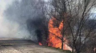 Amasya'da Yangın: Yeşilırmak Nehri Kıyısındaki Sazlık Alanında Alevler Kontrol Altına Alındı