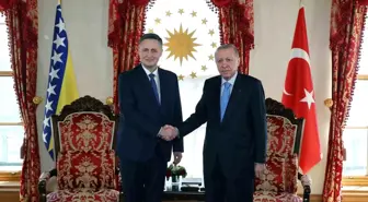 Cumhurbaşkanı Erdoğan, Bosna Hersek Devlet Başkanlığı Konseyi Üyesi Becirovic'i kabul etti