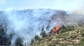 Osmaniye'de Orman Yangını Kontrol Altına Alındı