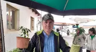 Sarıgöl'de Yerli Tohumlardan Yazlık Sebze Fideleri Satışa Sunuldu