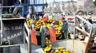 Tekirdağlı Balıkçılar Müsilaj Nedeniyle Sezonu Erken Kapattı