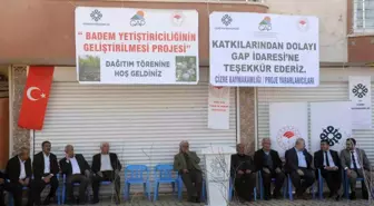 Cizre'de 42 Çiftçiye Fıstık ve Bıttım Fidanı Dağıtıldı