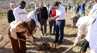 Bilecik'te Fidan Dikimi Etkinliği Düzenlendi