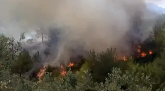 Osmaniye'de Orman Yangını Sürekli Mücadele Altında