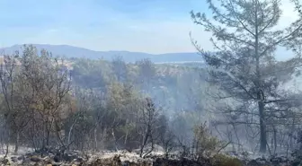 Osmaniye'de Orman Yangını Kontrol Altına Alındı