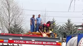 Kocaeli'de Tır Tankına Düşen İşçi Ağır Yaralandı