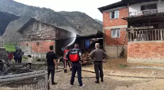 Bolu'da Odunlukta Yangın Çıktı, Büyümeden Söndürüldü