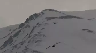 Artos Dağı'nda dağcılar mahsur kaldı, birinin ayağı kırıldı