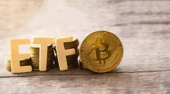 Trump etkisi devam ediyor: Hashdex ETF portföyüne 7 altcoin ekledi