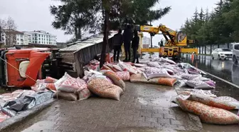 Ordu'da Besi Yemi Yüklü Tır Devrildi: 1 Yaralı