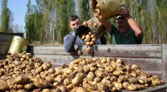 Tarımsal Girdi Fiyat Endeksi Yüzde 30,49 Artış Gösterdi