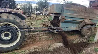 Sarıgöl Üzüm Üreticileri Doğal Gübrenin Faydalarını Keşfediyor