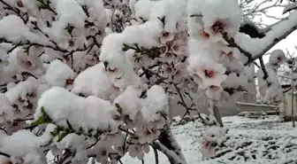 Sincik'te Bahar Havası Yerini Kışa Bıraktı