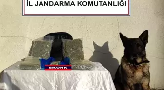 Bolu'da Yolcu Otobüsünde Skunk Madde Yakalandı