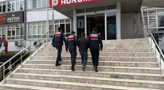 Mersin'de Çalınan 16 Küçükbaş Hayvan Bulundu, Şüpheli Tutuklandı