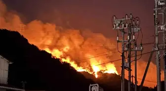 Japonya'da Orman Yangınları Büyüyor: 893 Kişiye Tahliye Uyarısı