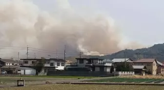 Japonya'da Orman Yangınları 514 Hektar Alanı Kül Etti