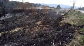 Bolu'da Kuru Ot Yangını Büyüdü, İtfaiye Müdahale Etti