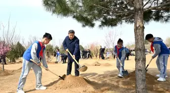 Xi Jinping'den Yeşil Çin İçin Ağaçlandırma Çağrısı
