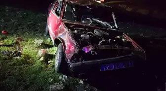 Silvan'da Takla Atan Otomobilin Sürücüsü Ağır Yaralandı