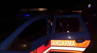 Alkollü Sürücü Manavgat'ta Kaza Yapıp Kaçtı, Jandarma Tarafından Yakalandı
